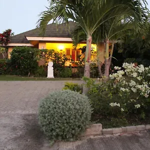 The Artist Place At Estates St Ann Villa